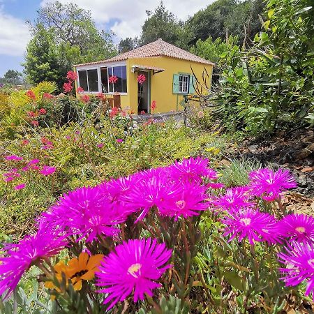 Irana Del Bosque Apartman Breña Baja Kültér fotó