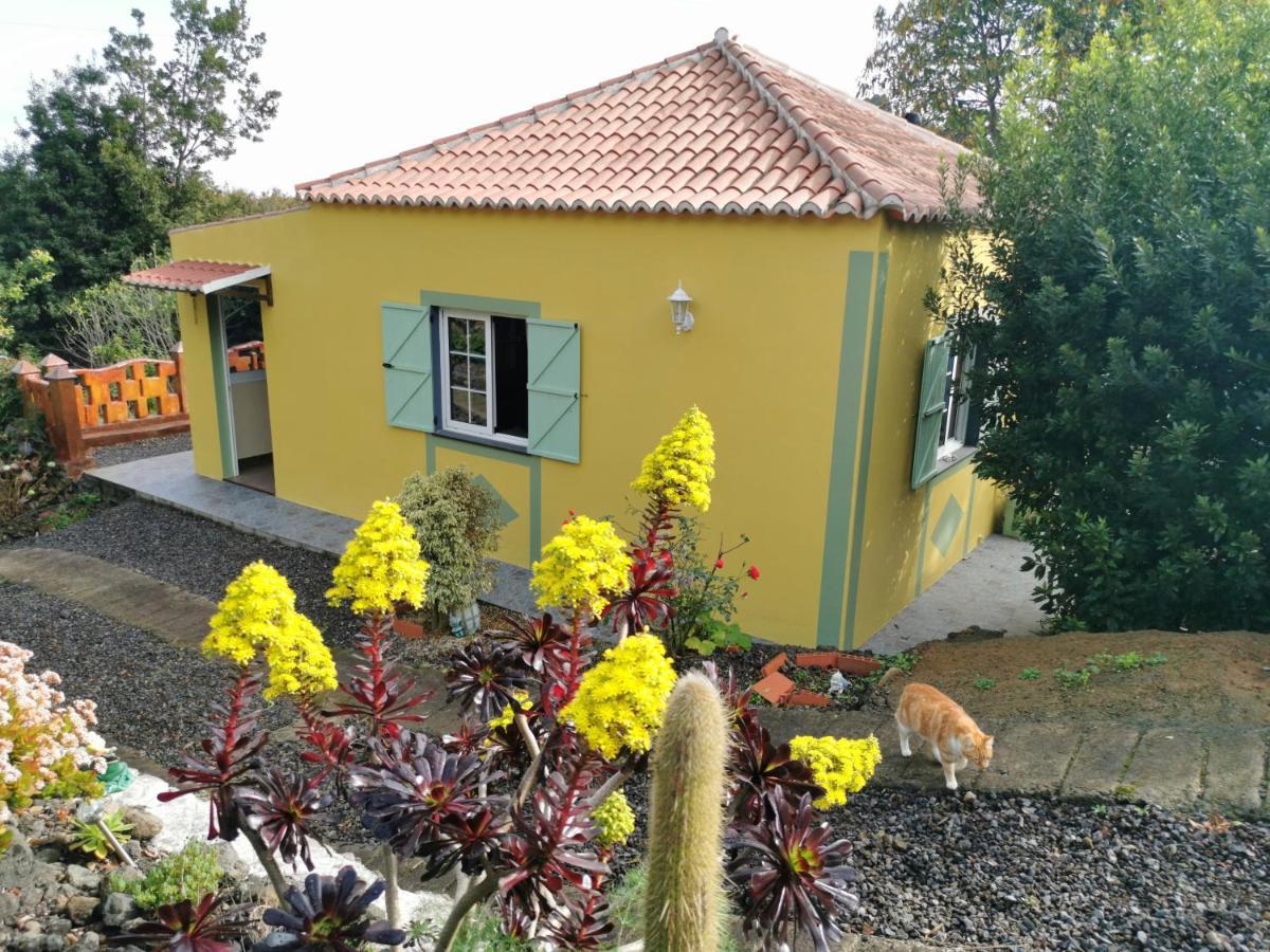 Irana Del Bosque Apartman Breña Baja Kültér fotó