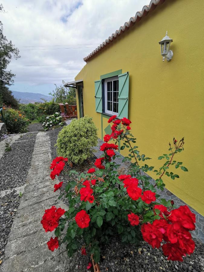 Irana Del Bosque Apartman Breña Baja Kültér fotó